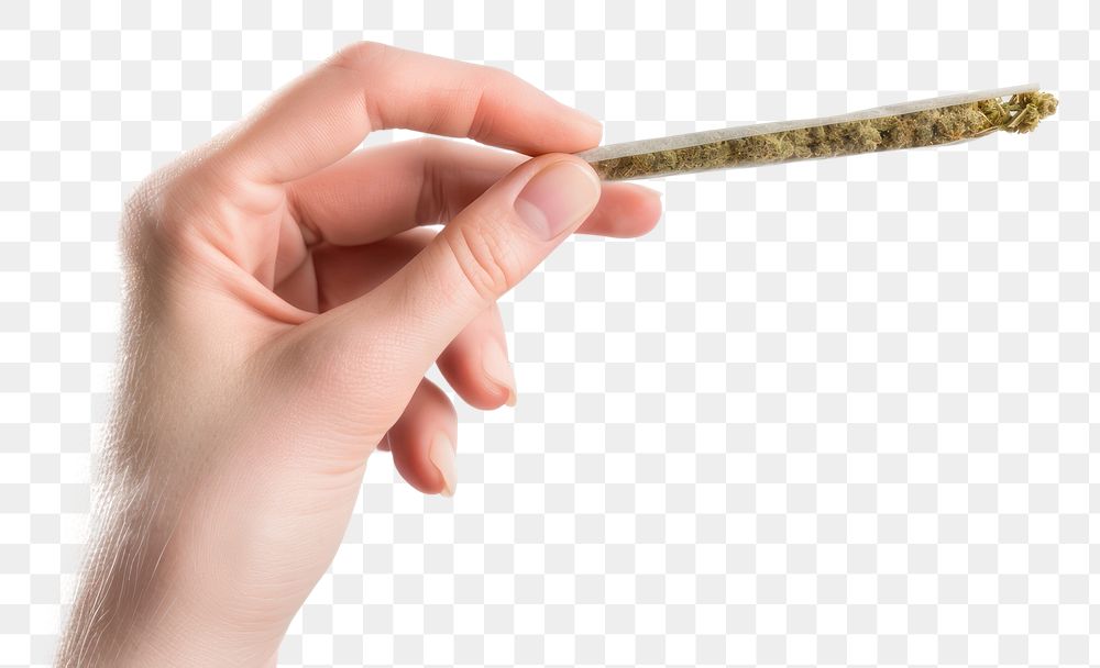 PNG Hand holding cannabis hand finger white background.