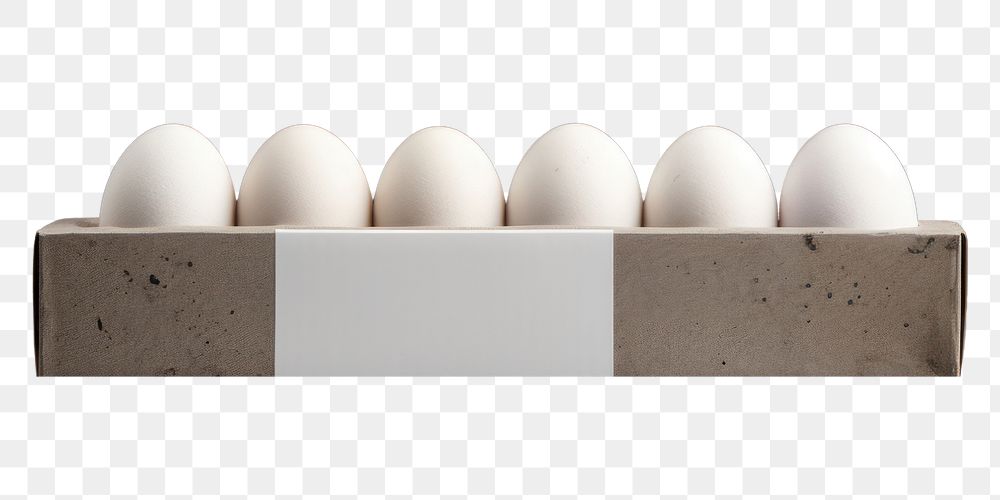 PNG Cardboard egg carton mockup packaging gray gray background simplicity.