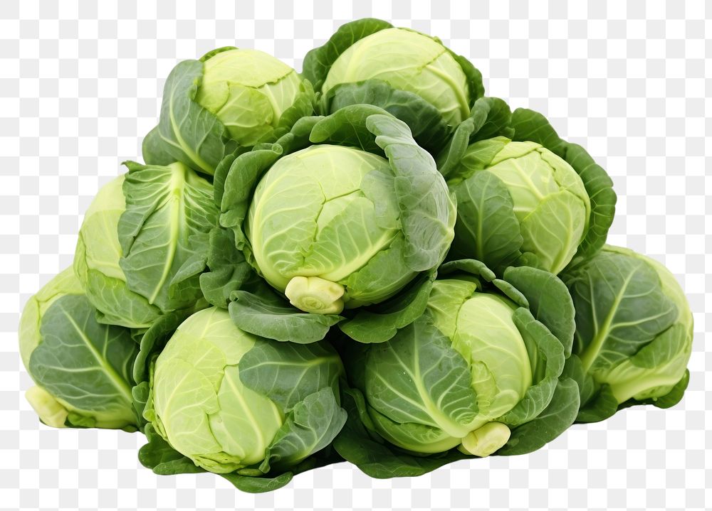 PNG Brussels sprout vegetable plant food.