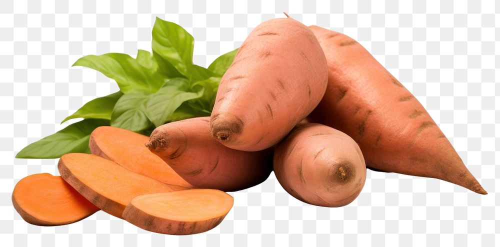 PNG Sweet potato vegetable carrot plant.