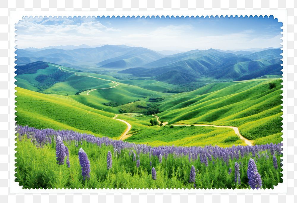 PNG Lavender field against mountain landscape grassland outdoors.
