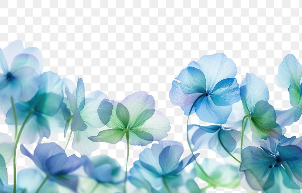 PNG Blue and green flowers flying border backgrounds nature petal.