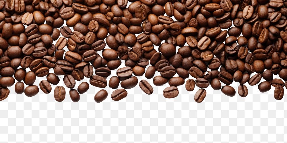 PNG Coffee beans coffee backgrounds white background.