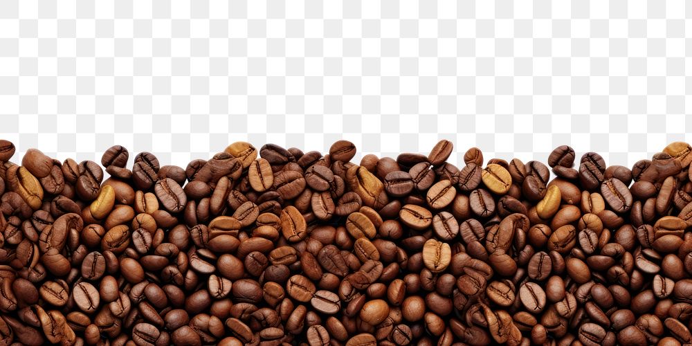 PNG Coffee beans coffee backgrounds white background.
