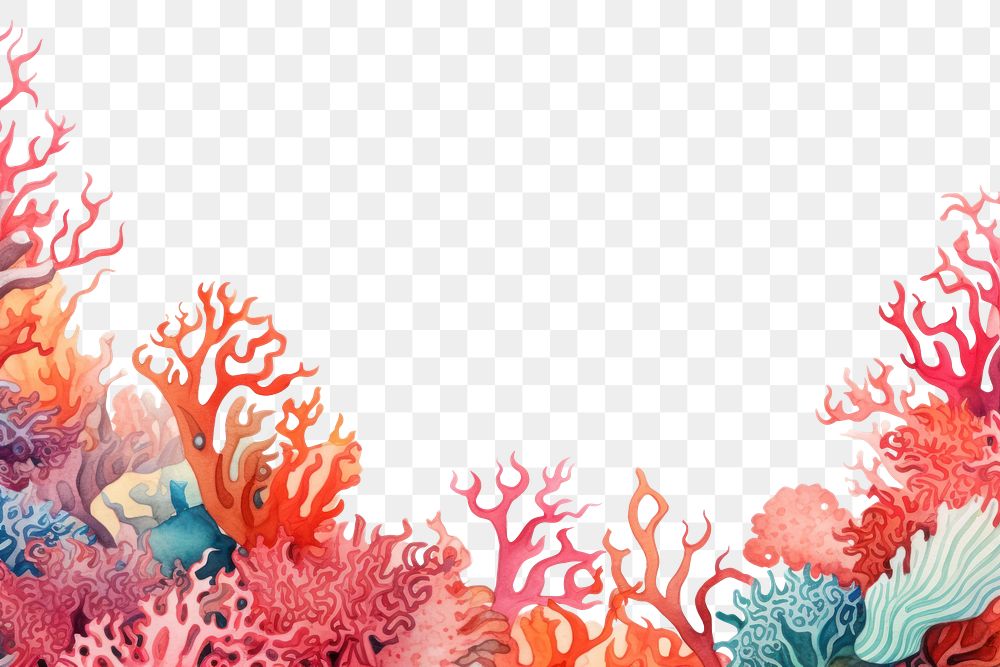 PNG Colorful coral backgrounds outdoors nature.