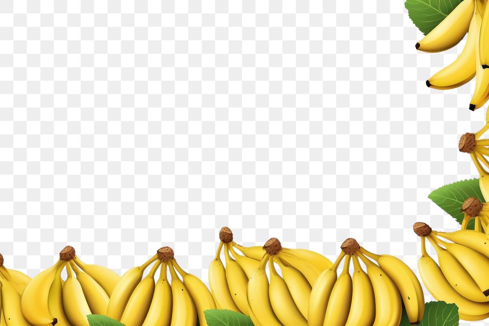PNG Banana banana backgrounds fruit.
