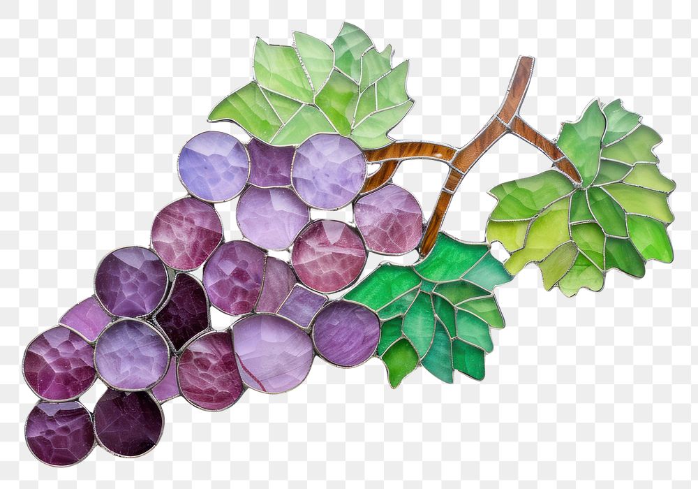 Mosaic tiles of grape grapes fruit plant.