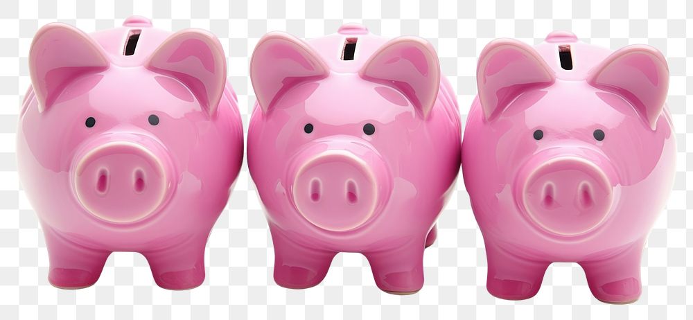 PNG Mammal pig representation investment.