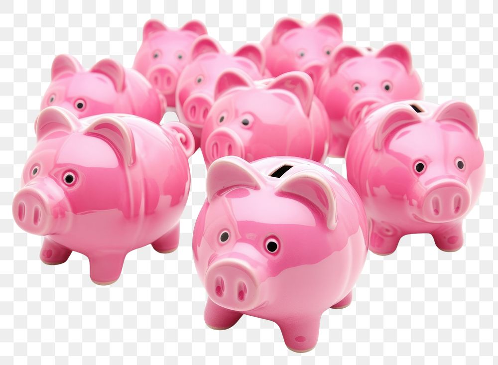 PNG Pig representation investment currency.