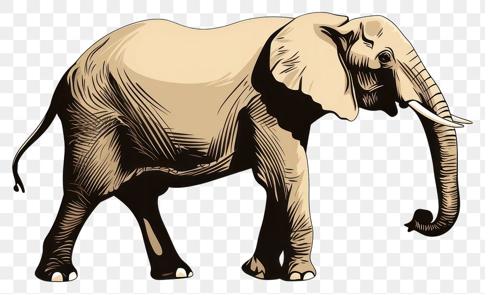 PNG An elephant standing on two feet wildlife drawing animal.