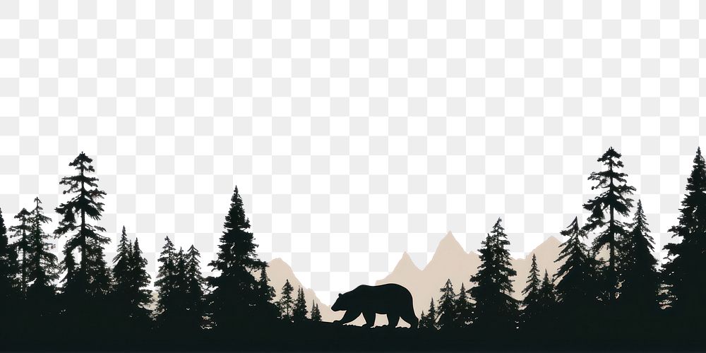 PNG A bear in a forest silhouette outdoors mammal