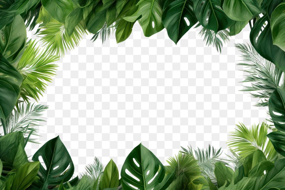 PNG  Natural tropical leaves frame backgrounds outdoors nature.