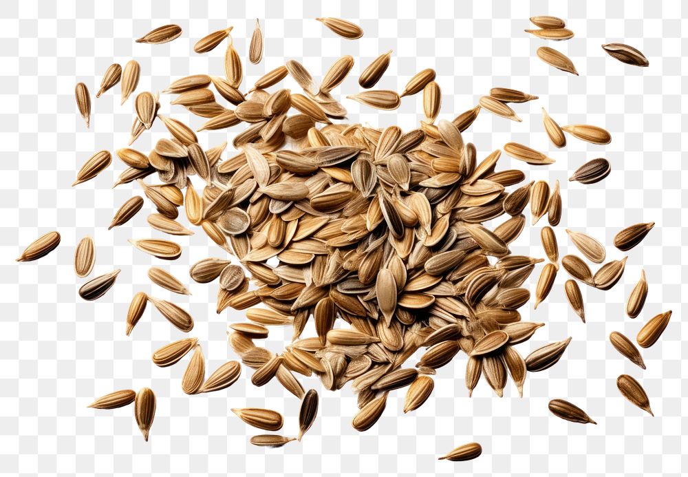 PNG  Scattered sunflower seeds food white background ingredient.