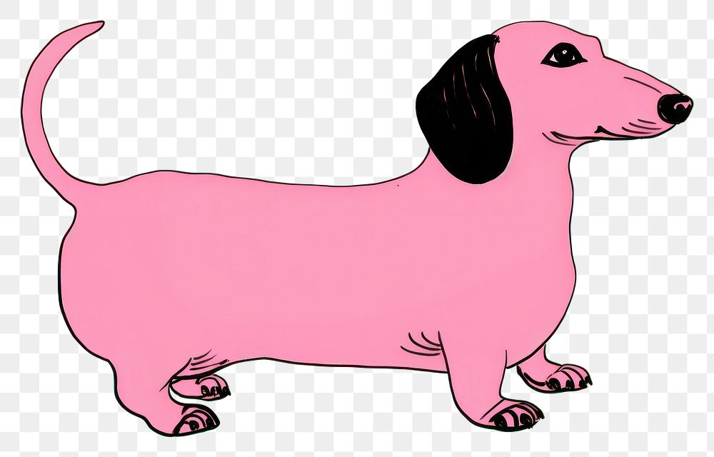 PNG  Dachshund dog cartoon drawing animal.