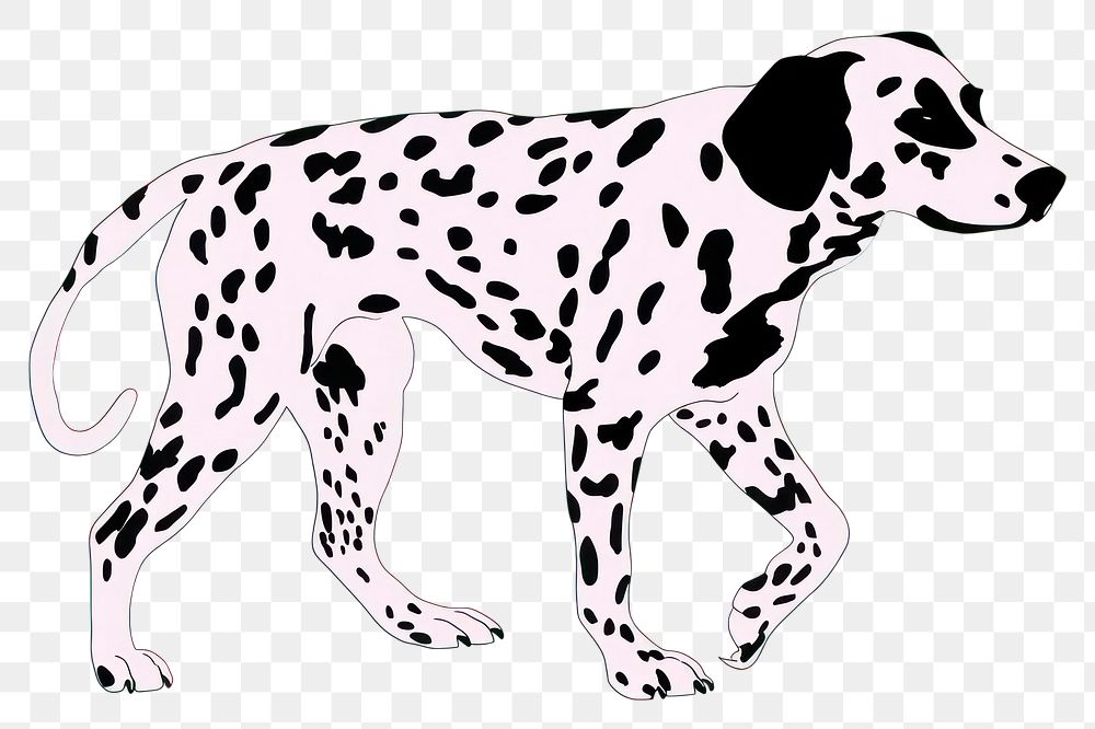 PNG  Dalmatian dog dalmatian cartoon animal.