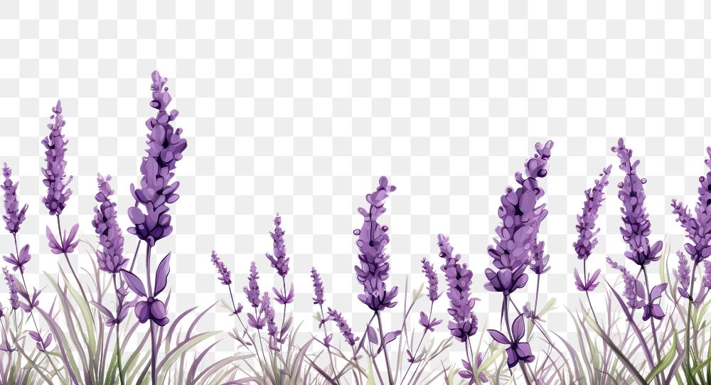 PNG Lavendar line horizontal border | Premium PNG - rawpixel