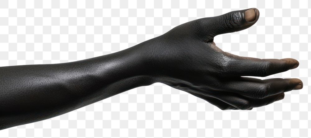 PNG Hand finger person adult.