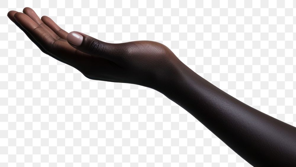 PNG Finger hand person adult.
