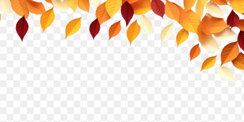 PNG  Autumn leaves border backgrounds pattern flower.