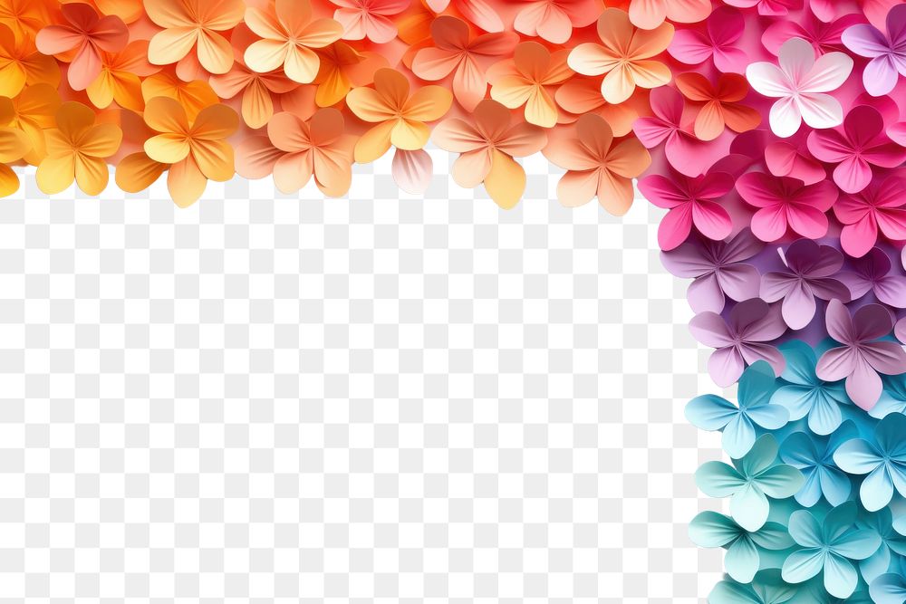 PNG  Colorful petals floral border flower backgrounds pattern.