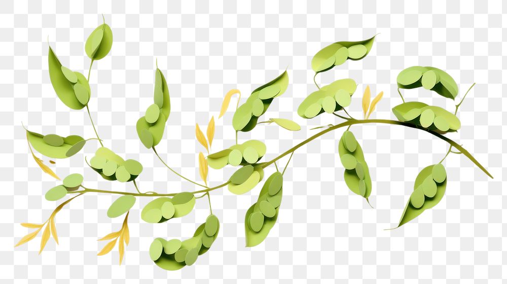 PNG Plant green leaf freshness.