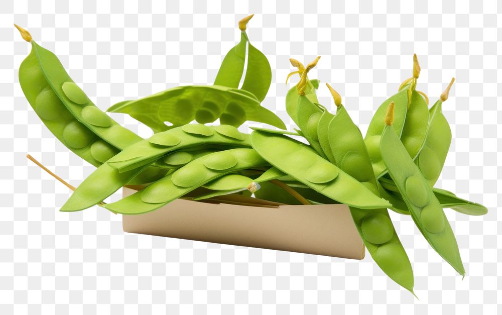 PNG Edamame fresh soybean vegetable plant food.