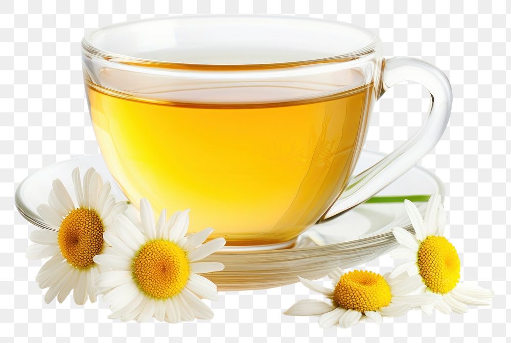 PNG Photo of chamomile tea flower drink plant