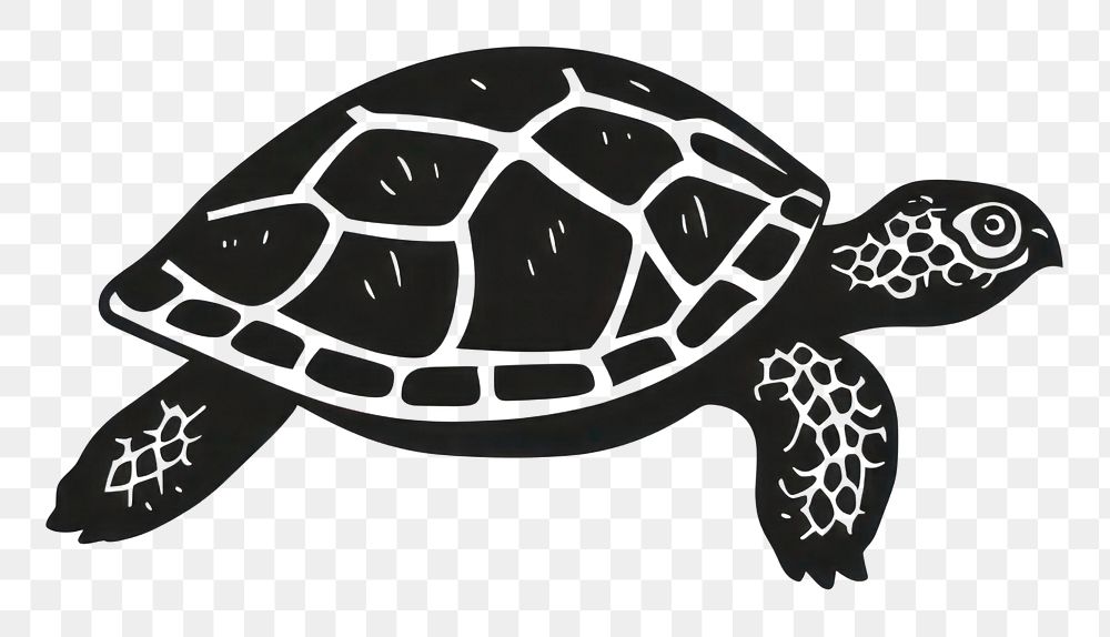 PNG  Turtle reptile stencil animal.