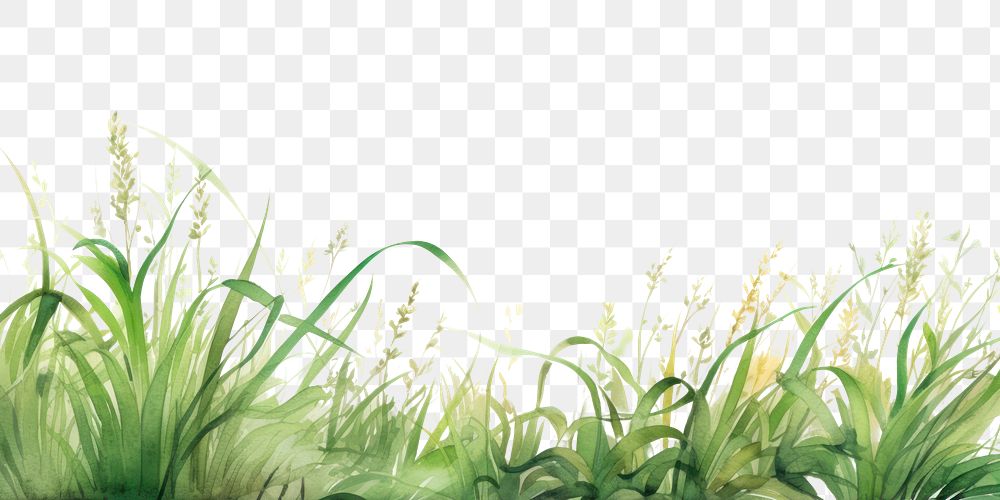 PNG Grass nature land backgrounds.
