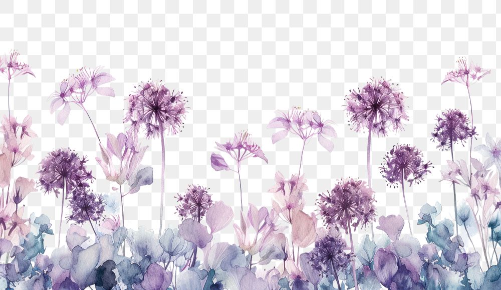 PNG Allium nature outdoors pattern