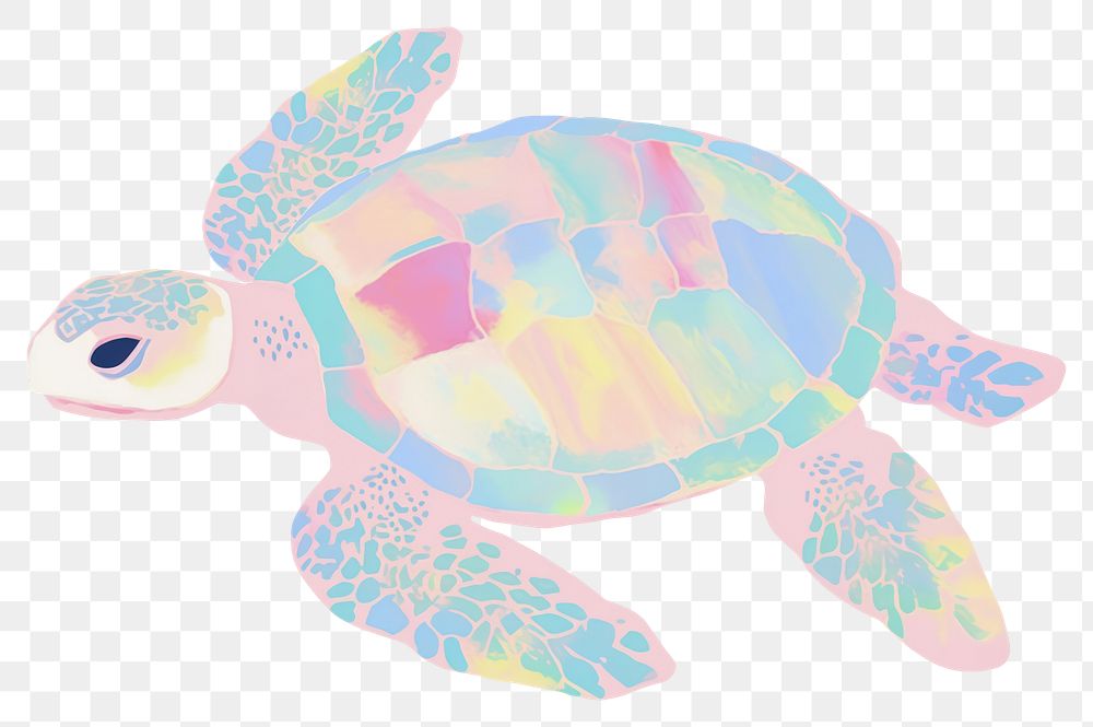 PNG  Baby turtle reptile animal white background.