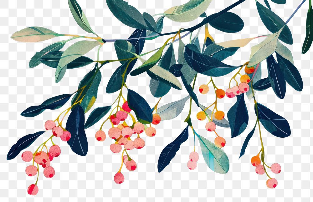 PNG  Colorful Risograph printing illustration of mistletoe plant leaf tree.