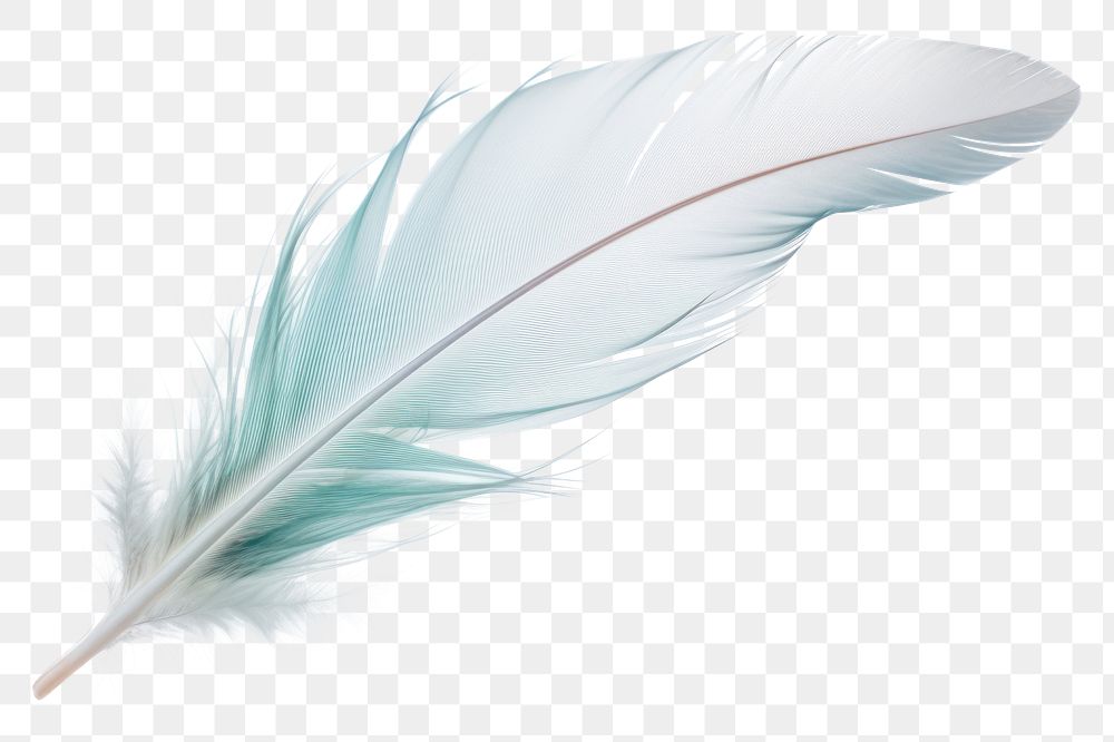 PNG Feather feather flying white.