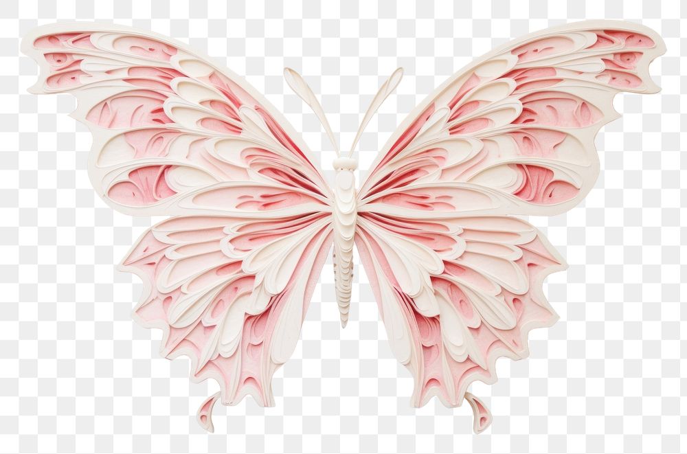 PNG Butterfly art pattern petal.