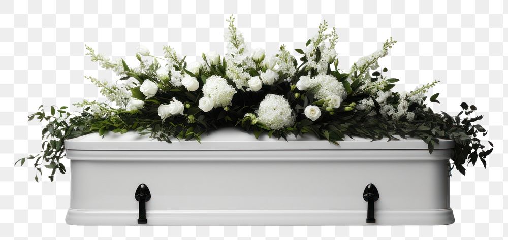 PNG Funeral flower plant white.