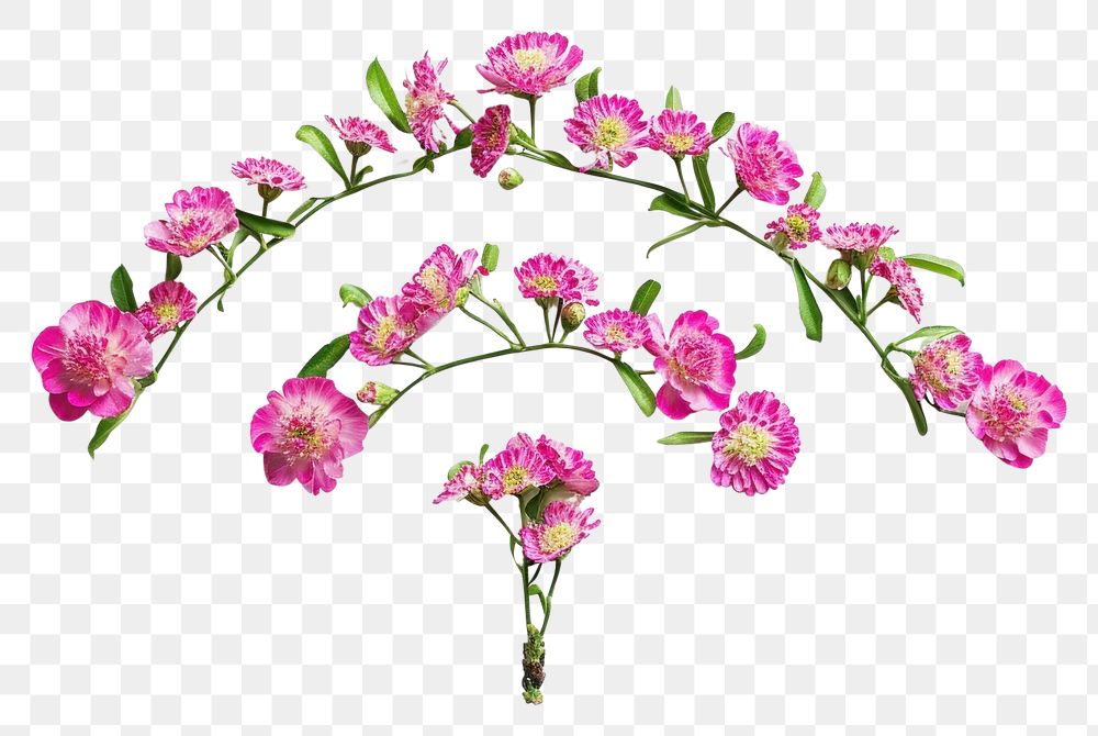 PNG Flat floral wifi shape flower petal plant.