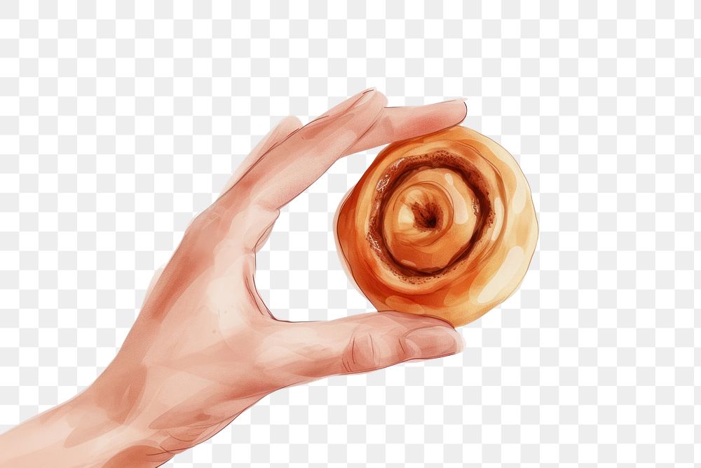 PNG Cinnamon roll food white background holding.