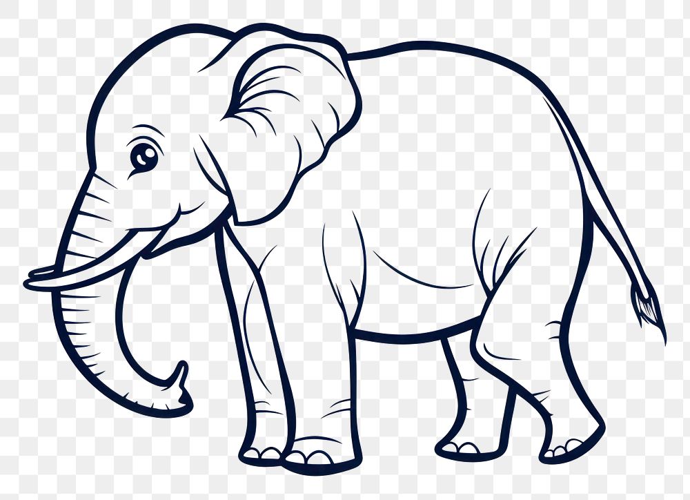 PNG Elephant wildlife drawing animal.