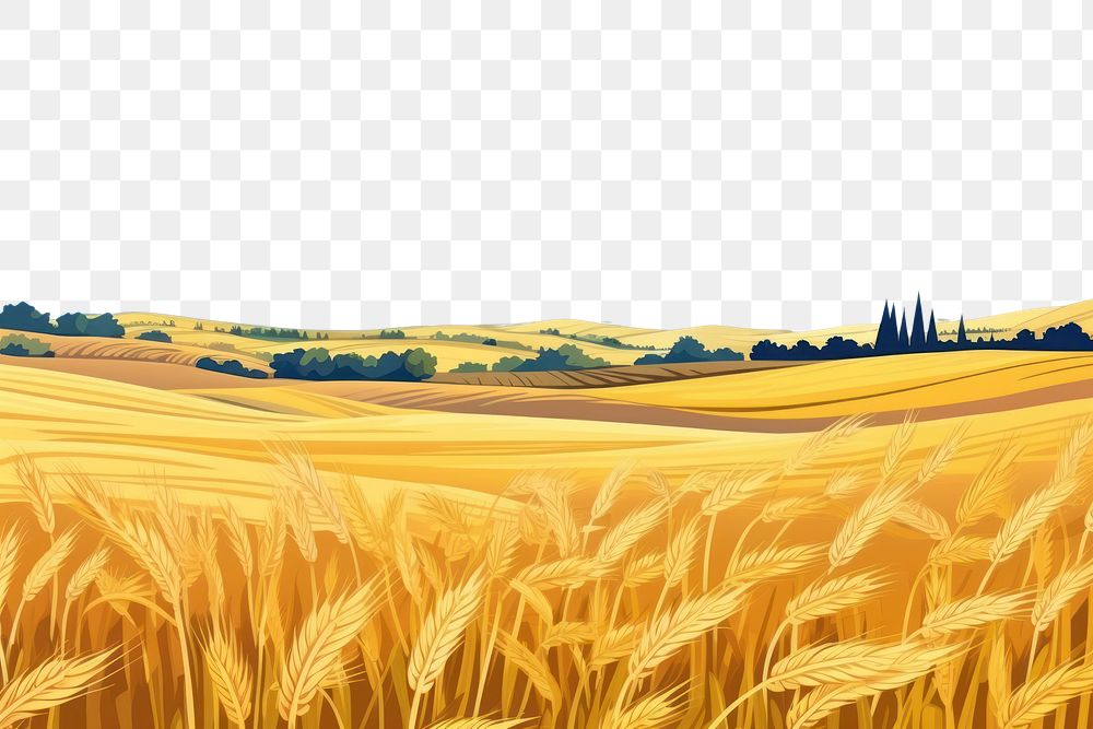 PNG Wheat Organic Farming landscape field wheat.