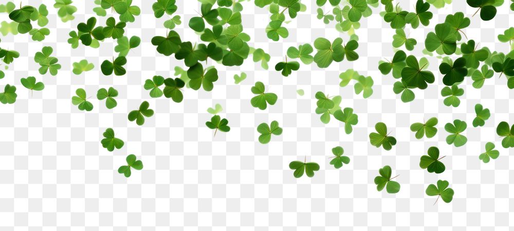 PNG Falling clover leaves backgrounds plant herbs.