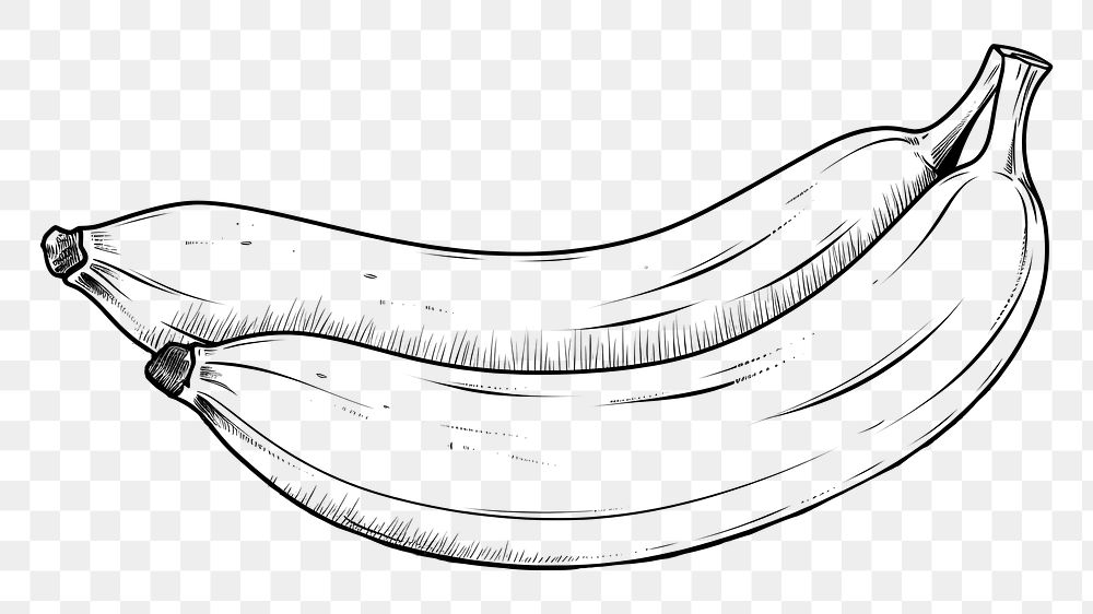 PNG Banana banana sketch food.