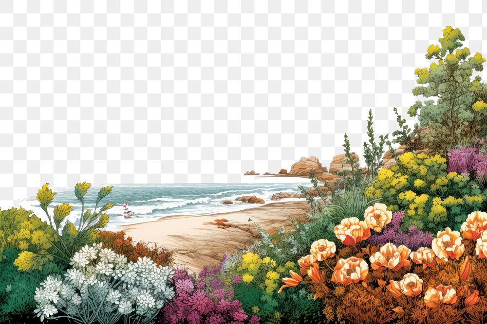 PNG  Flower coast landscape outdoors