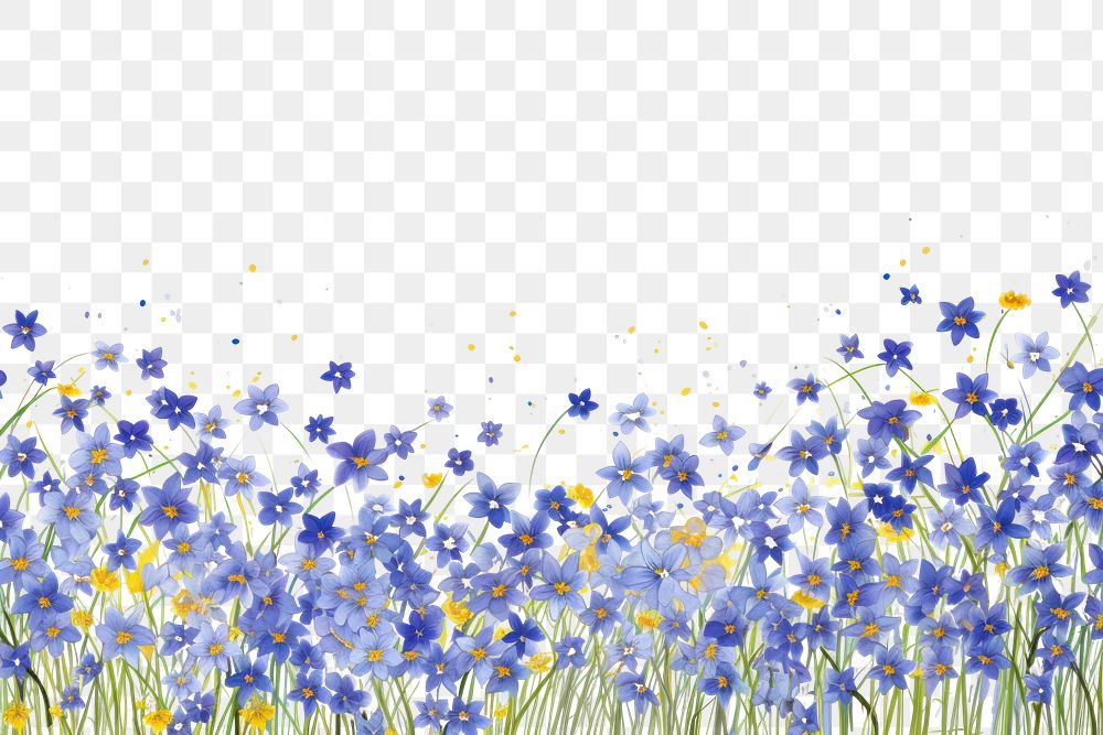 PNG  Backgrounds outdoors blossom flower.