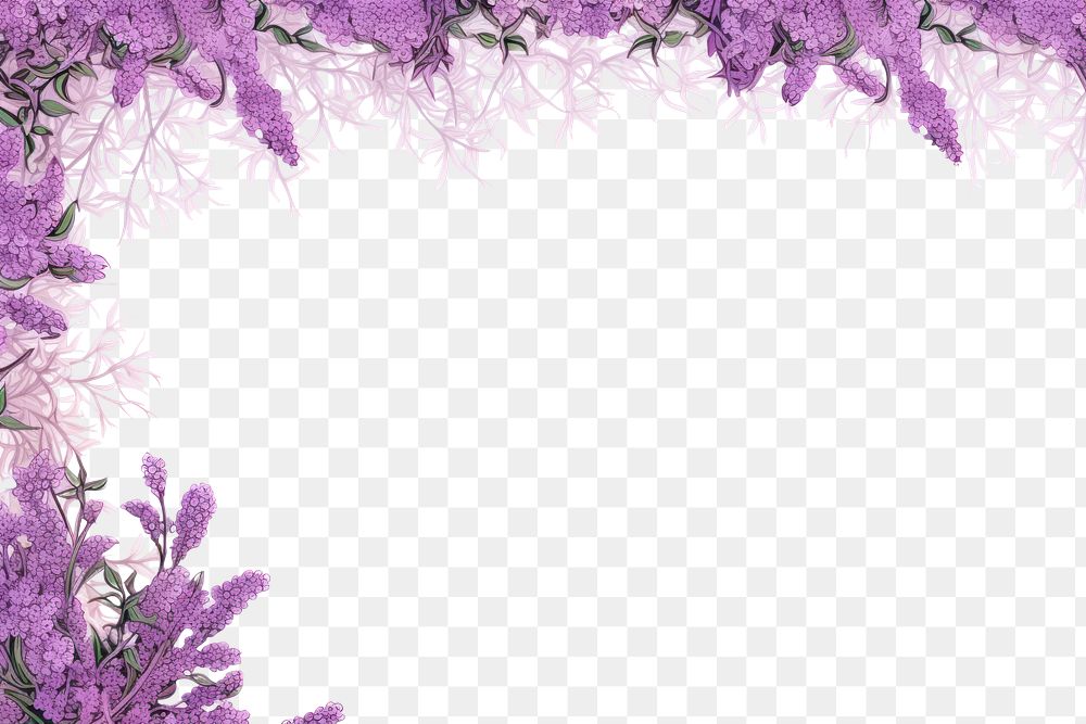 PNG  Flower purple backgrounds lavender.