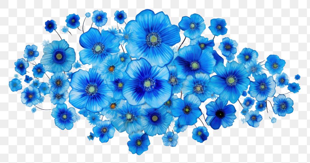 PNG  Pattern flower plant blue.