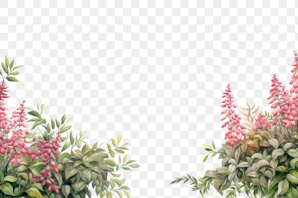 PNG  Flower plant bush white background