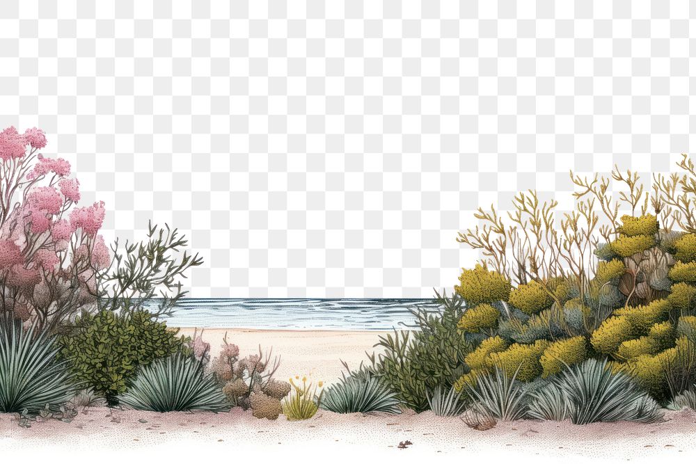 PNG  Beach landscape outdoors nature.