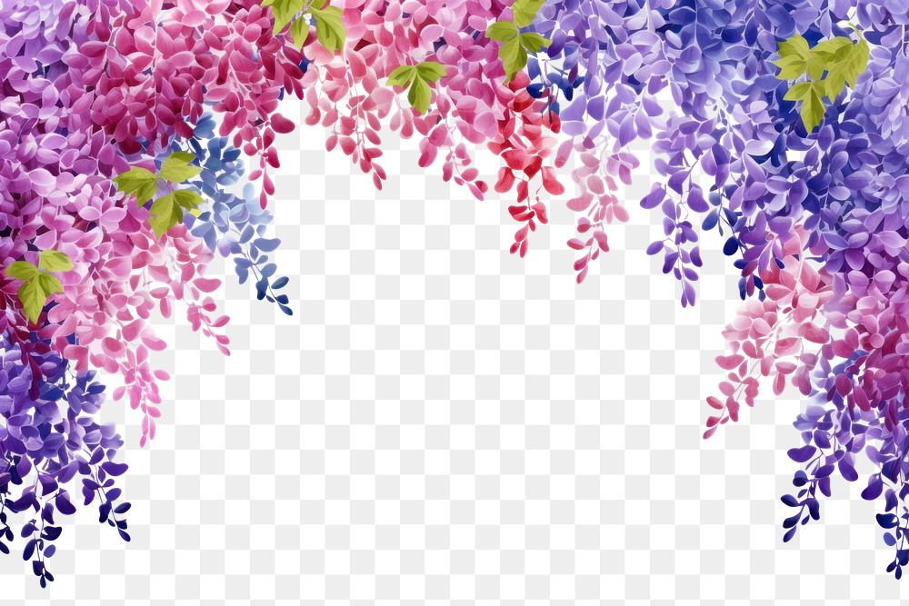 PNG  Backgrounds wisteria blossom flower.