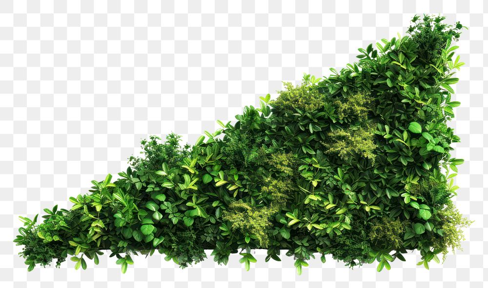PNG Living wall plant vegetation hedge