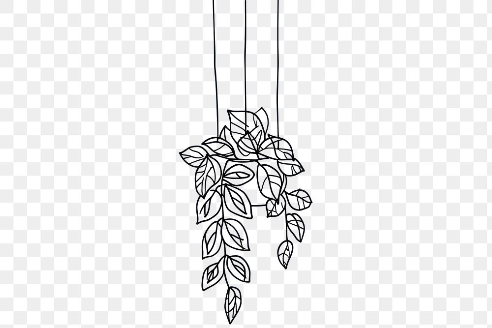 PNG Minimal line hanging plant drawing sketch accessories.